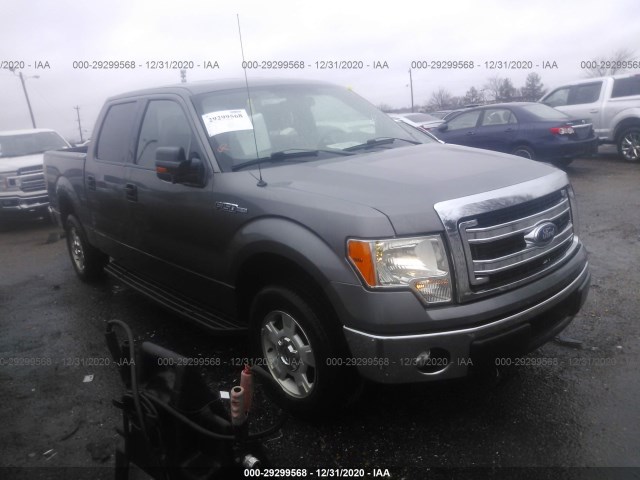 FORD F-150 2014 1ftew1cm0efa71499