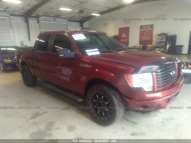 FORD F-150 2014 1ftew1cm0eke29790