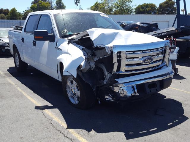 FORD F-150 2011 1ftew1cm1bfc73781