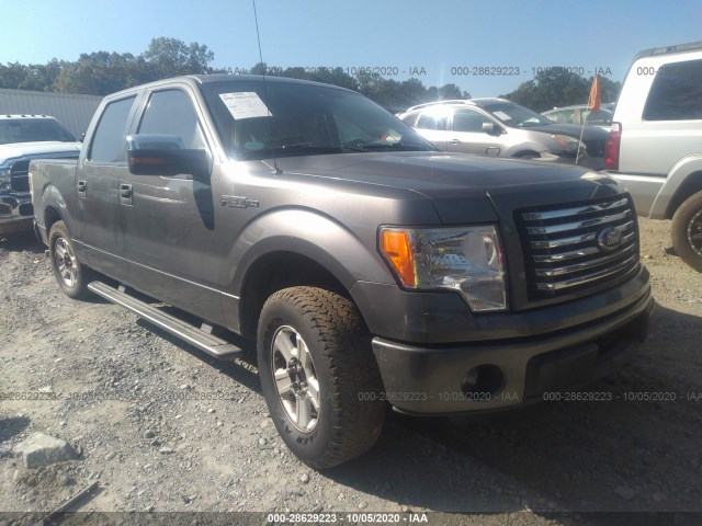 FORD F-150 2011 1ftew1cm1bfd20162