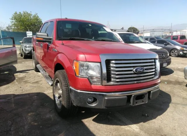 FORD F-150 2012 1ftew1cm1cfa99017