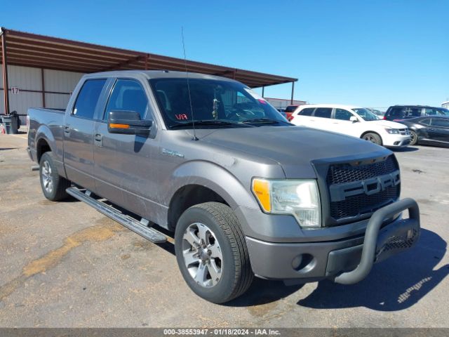 FORD F-150 2012 1ftew1cm1ckd36063