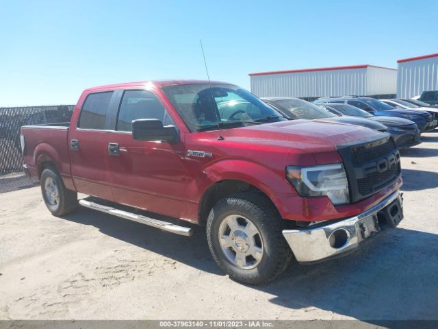 FORD F-150 2013 1ftew1cm1dfc64808