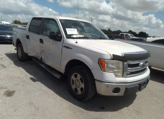 FORD F-150 2013 1ftew1cm1dkf02261