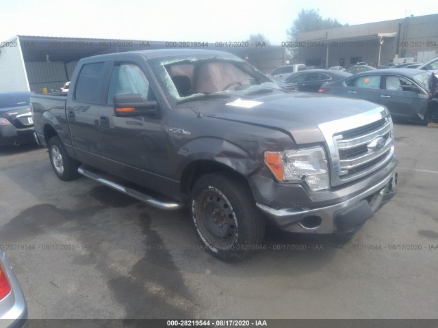 FORD F-150 2014 1ftew1cm1efa32761