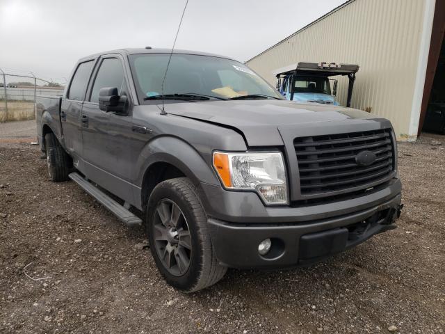 FORD F150 SUPER 2014 1ftew1cm1efa37412