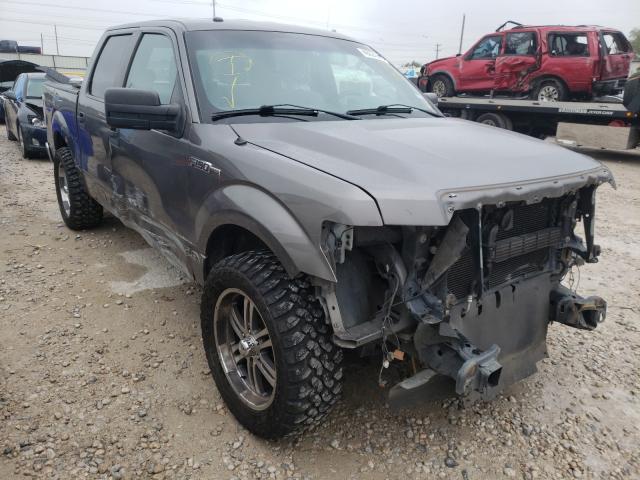 FORD F-150 2014 1ftew1cm1efa46966