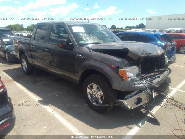 FORD F-150 2014 1ftew1cm1efb62684