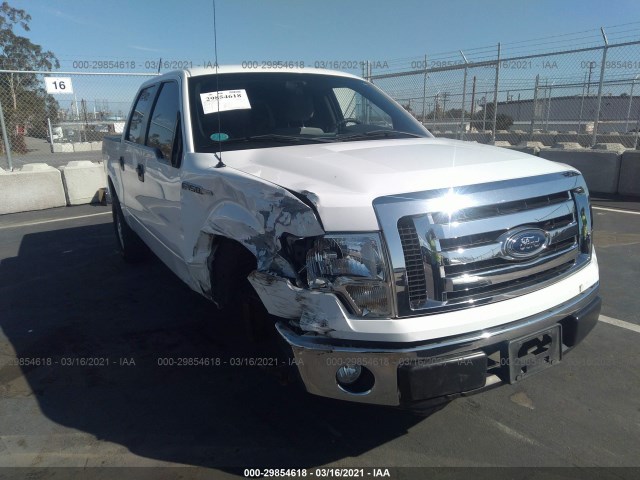 FORD F-150 2011 1ftew1cm2bfc15243