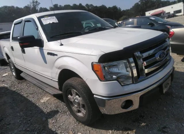 FORD F-150 2011 1ftew1cm2bkd28021