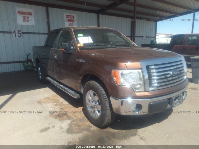 FORD F-150 2012 1ftew1cm2cfb14205