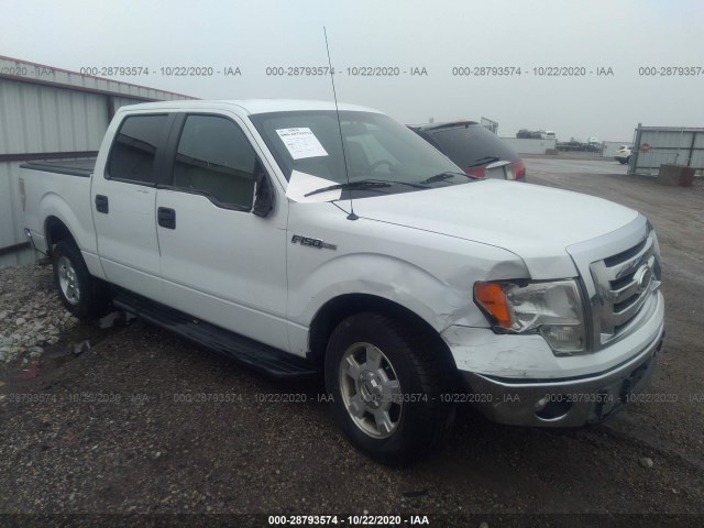 FORD F-150 2012 1ftew1cm2ckd07347