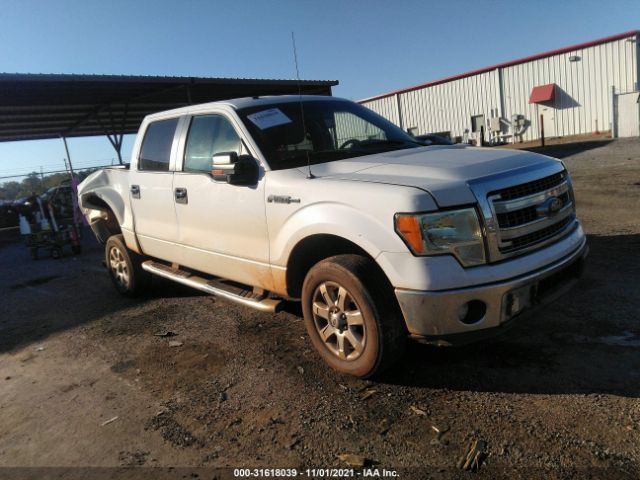 FORD F-150 2013 1ftew1cm2dfb49716