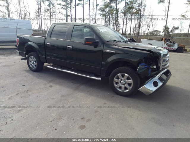 FORD F-150 2013 1ftew1cm2dfb80593