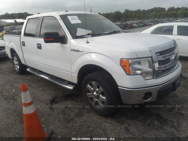 FORD F-150 2013 1ftew1cm2dfd22358