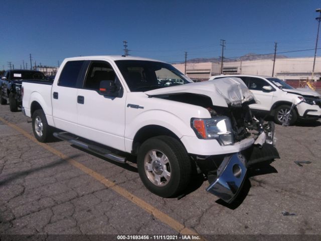 FORD F-150 2014 1ftew1cm2efa15922