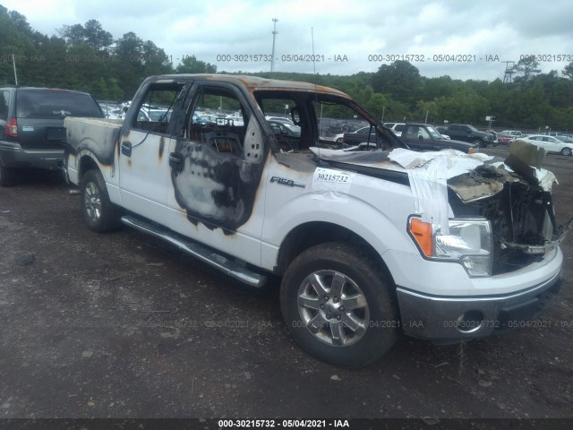 FORD F-150 2014 1ftew1cm2ekd82519