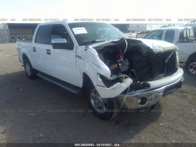 FORD F-150 2014 1ftew1cm2eke24493