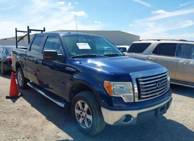 FORD F-150 2011 1ftew1cm3bfd41028