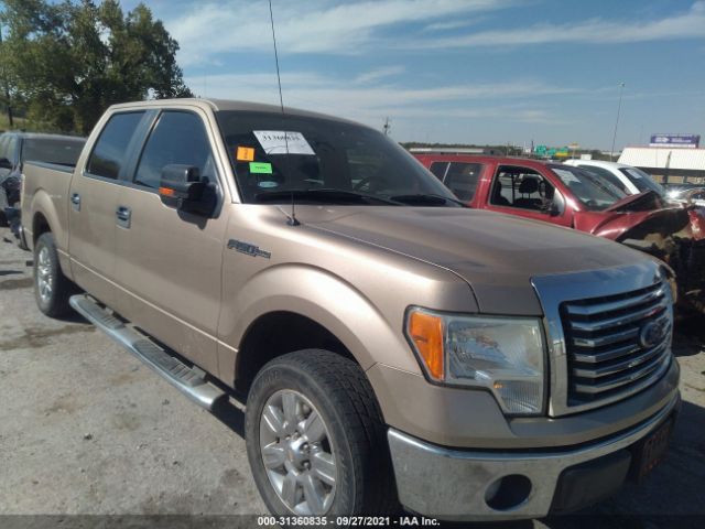 FORD F-150 2011 1ftew1cm3bkd10210