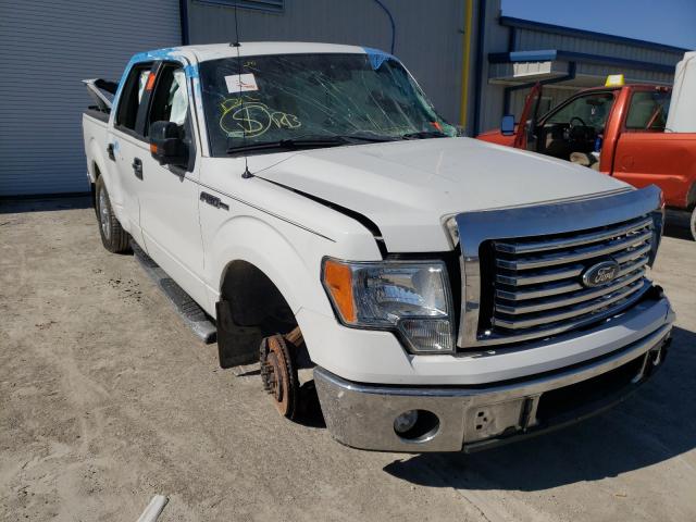 FORD F150 SUPER 2011 1ftew1cm3bkd70360