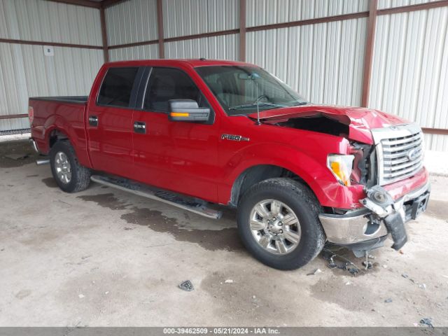 FORD F150 2012 1ftew1cm3ckd29440