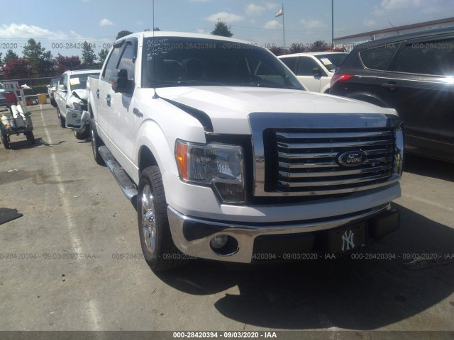 FORD F-150 2012 1ftew1cm3ckd76578