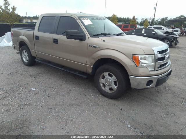 FORD F-150 2013 1ftew1cm3dfa75125