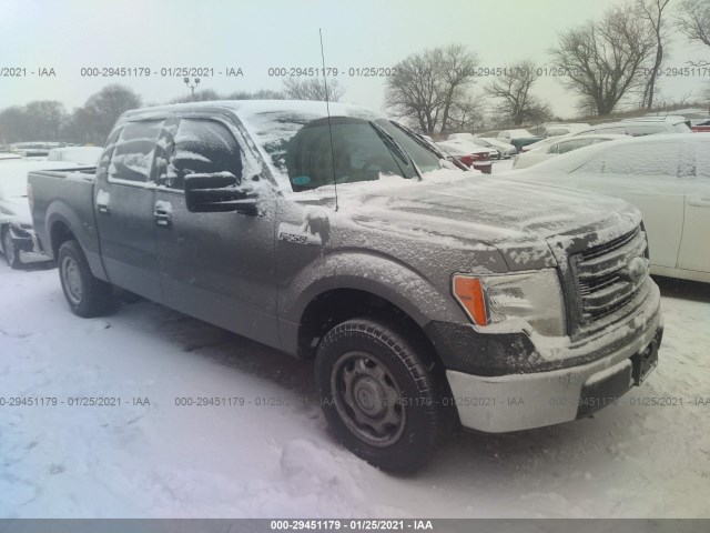 FORD F-150 2013 1ftew1cm3dfb04087