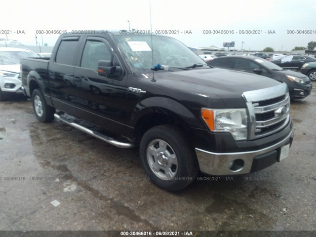 FORD F-150 2013 1ftew1cm3dfb29748