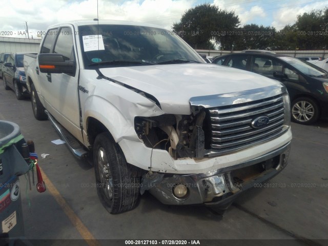 FORD F-150 2011 1ftew1cm4bfd08961