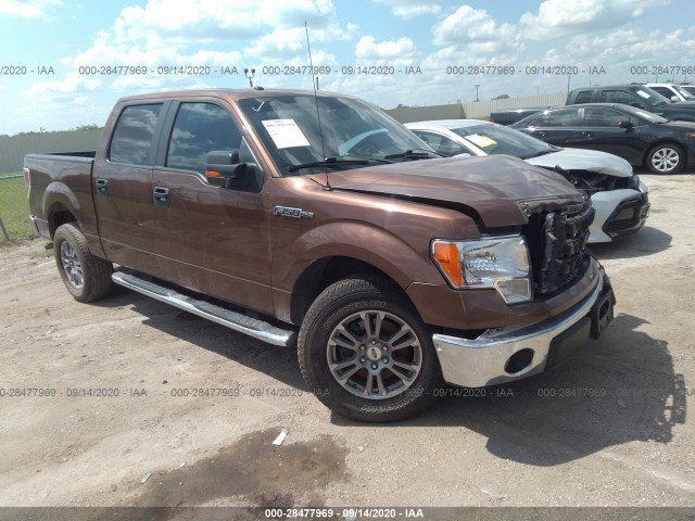 FORD F-150 2012 1ftew1cm4cfa40852