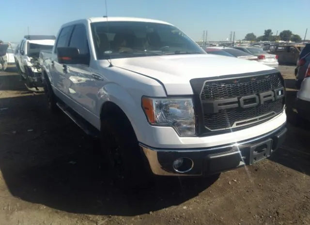 FORD F-150 2012 1ftew1cm4ckd13019