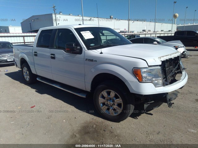 FORD F-150 2012 1ftew1cm4ckd36381