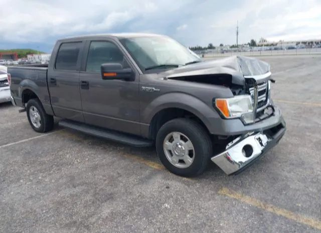 FORD F-150 2013 1ftew1cm4dfa20361