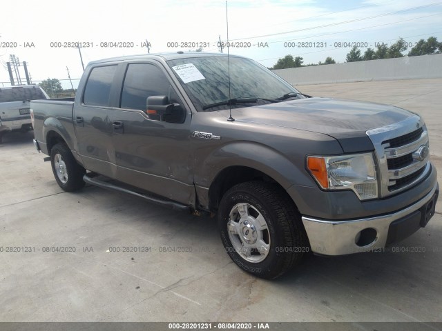 FORD F-150 2013 1ftew1cm4dfd92931