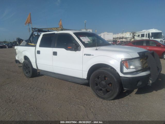 FORD F-150 2013 1ftew1cm4dkd73903