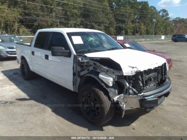 FORD F-150 2013 1ftew1cm4dkd88336