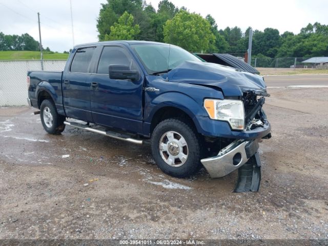 FORD F-150 2013 1ftew1cm4dkf71106