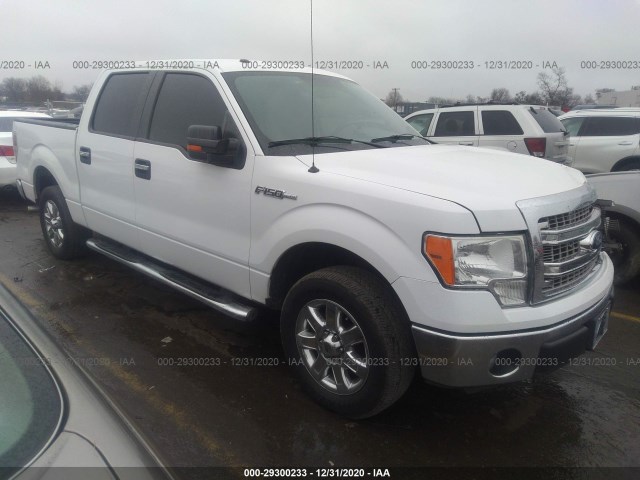 FORD F-150 2014 1ftew1cm4efa59355