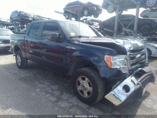 FORD F-150 2014 1ftew1cm4efb03399