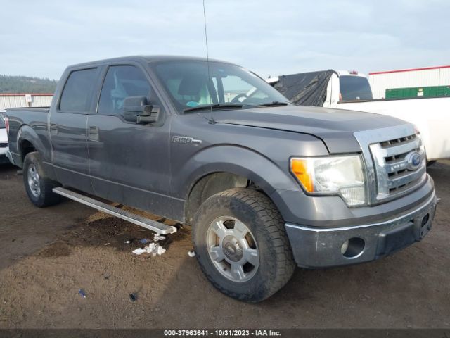 FORD F-150 2011 1ftew1cm5bfd09441