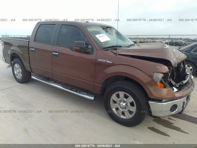 FORD F-150 2011 1ftew1cm5bkd09897