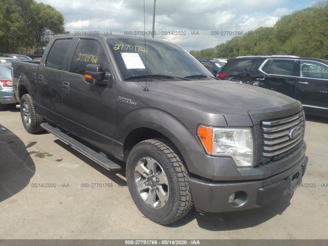 FORD F-150 2011 1ftew1cm5bkd70036