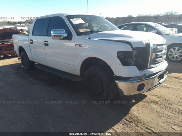 FORD F-150 2012 1ftew1cm5cfb29295