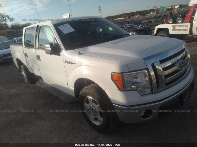 FORD F-150 2012 1ftew1cm5ckd07505