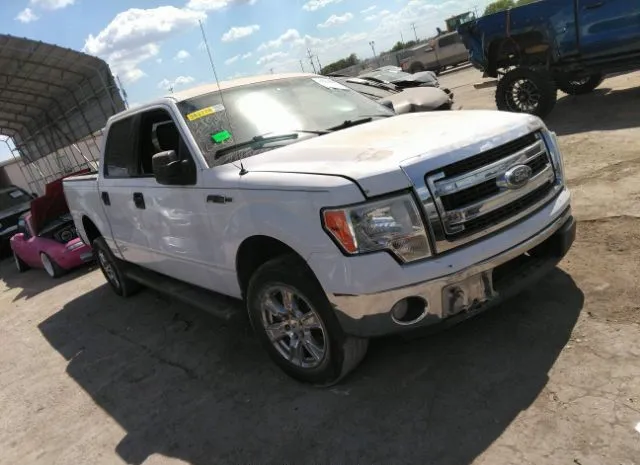 FORD F-150 2013 1ftew1cm5dke55445