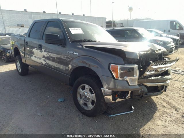 FORD F-150 2014 1ftew1cm5efa17678