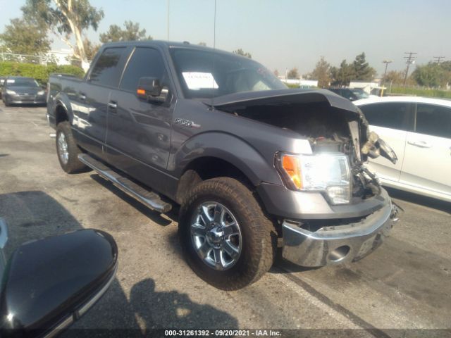 FORD F-150 2014 1ftew1cm5ekf75571