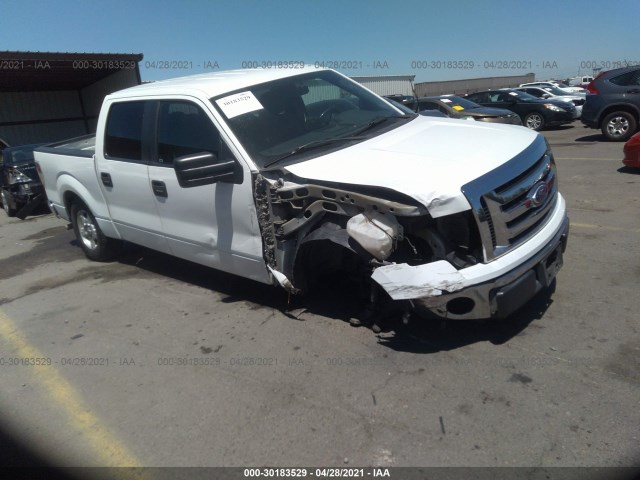 FORD F-150 2011 1ftew1cm6bfc51419